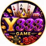 y333